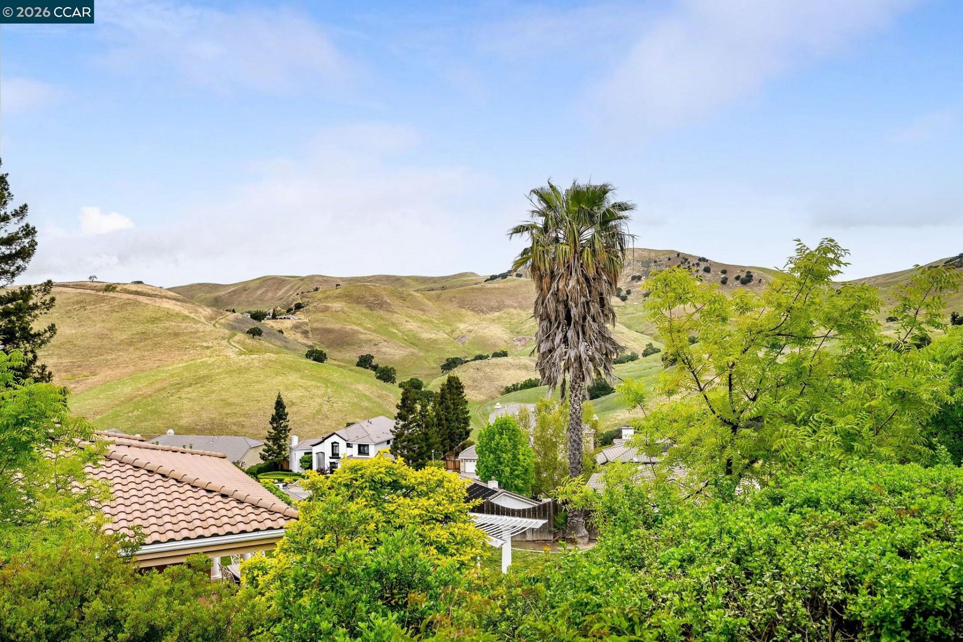 Property photo 46