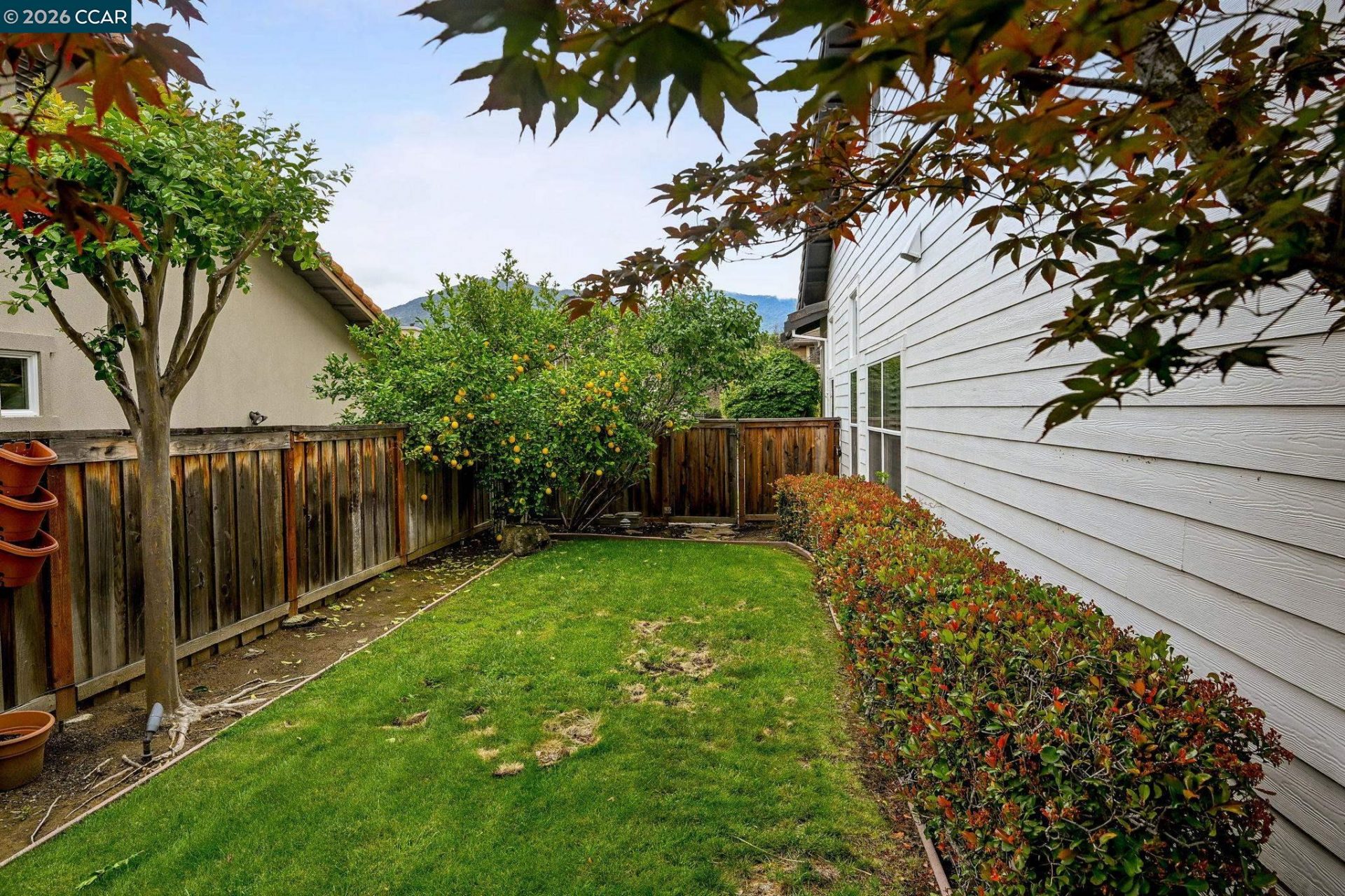Property photo 47