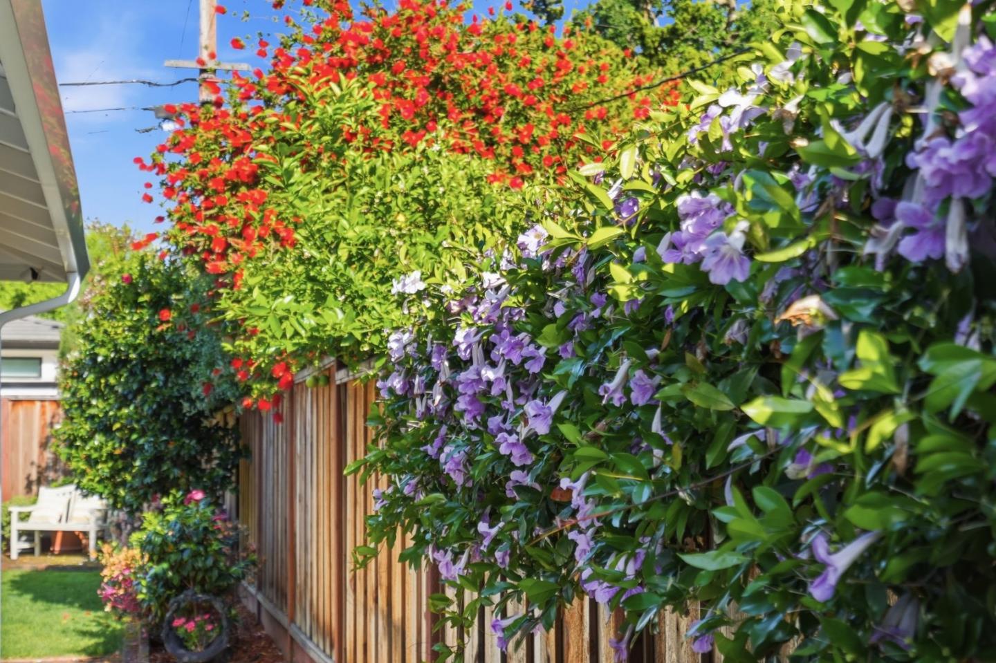 Property photo 44