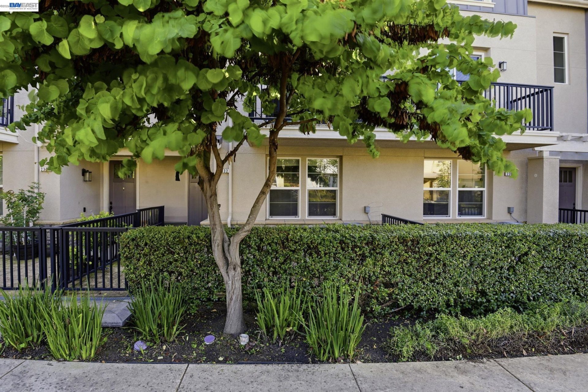 Property photo 46
