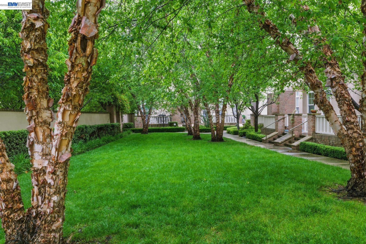 Property photo 44