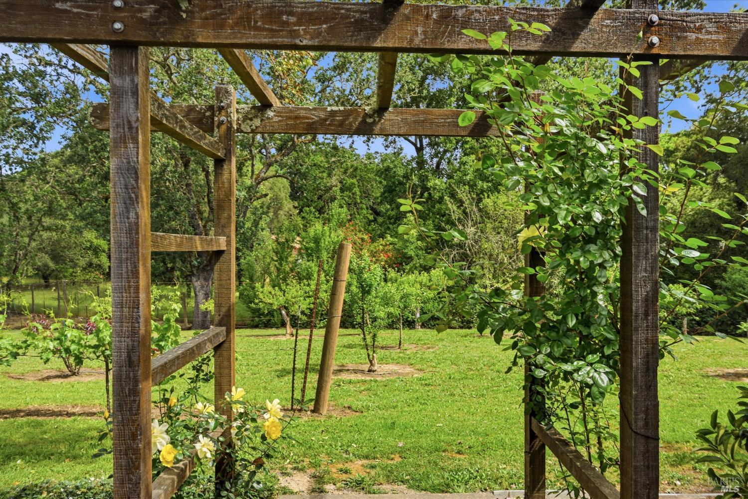 Property photo 42