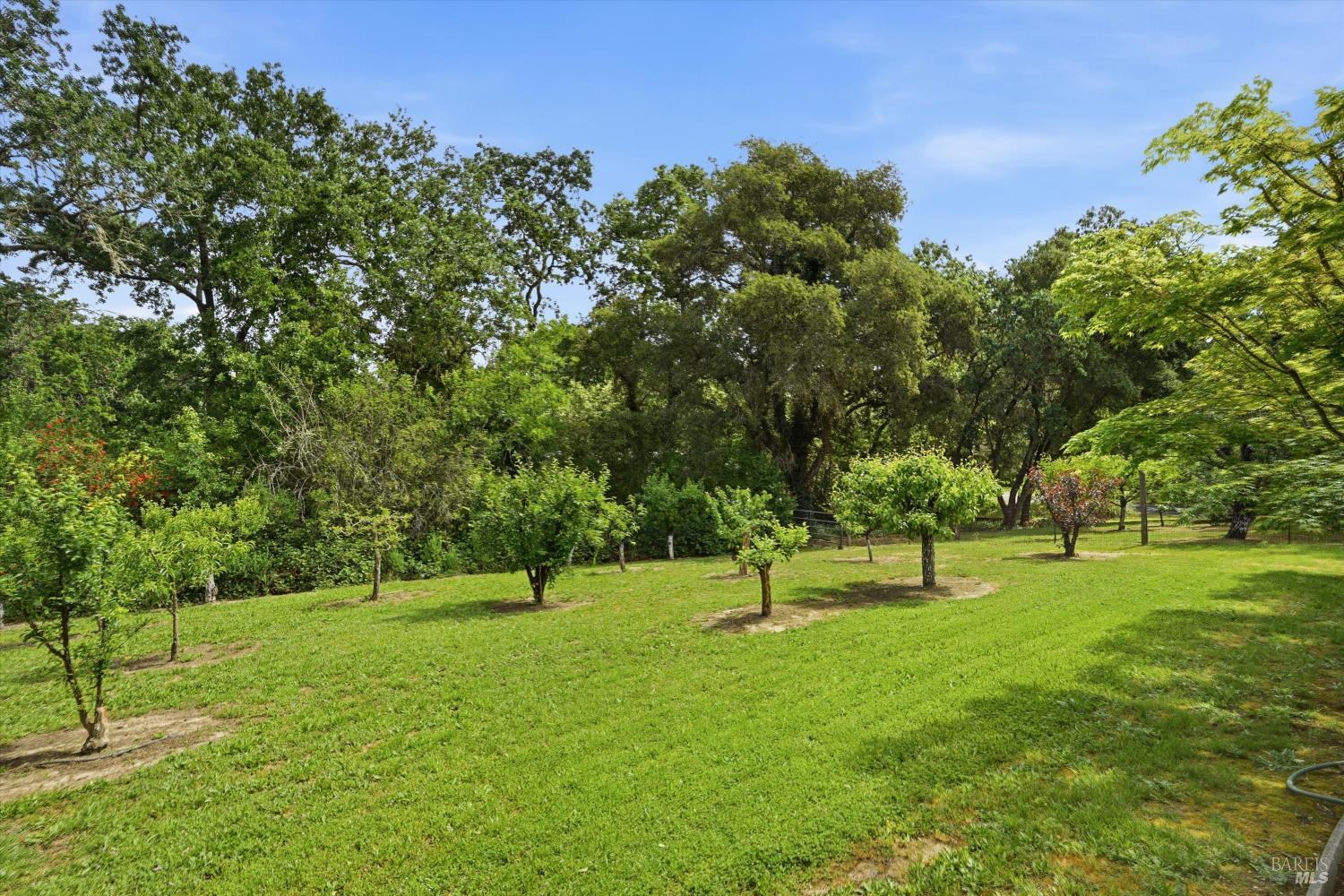 Property photo 44