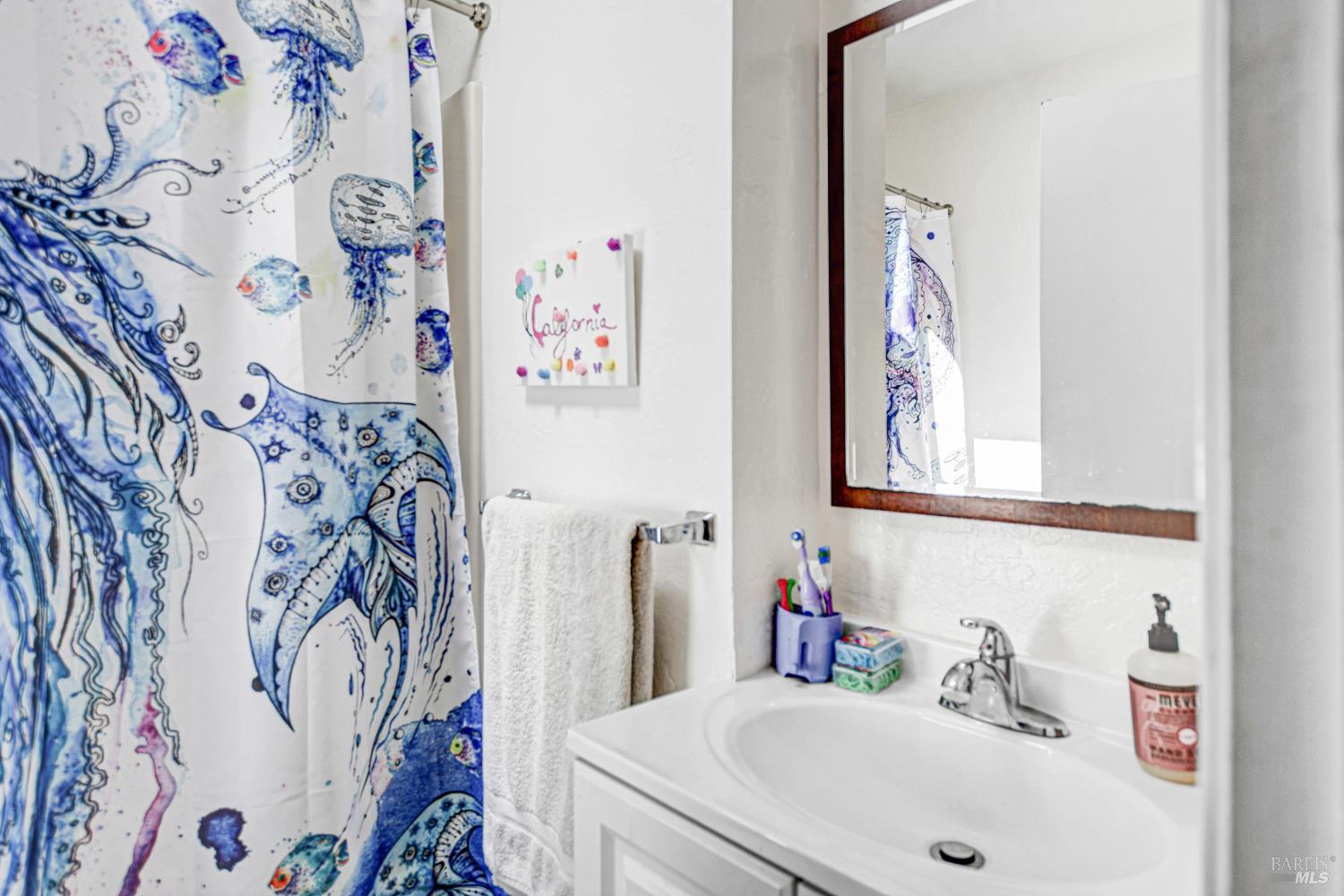 Property photo 51