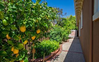 Property photo 31