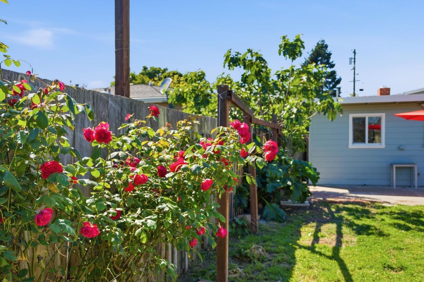 Property photo 43