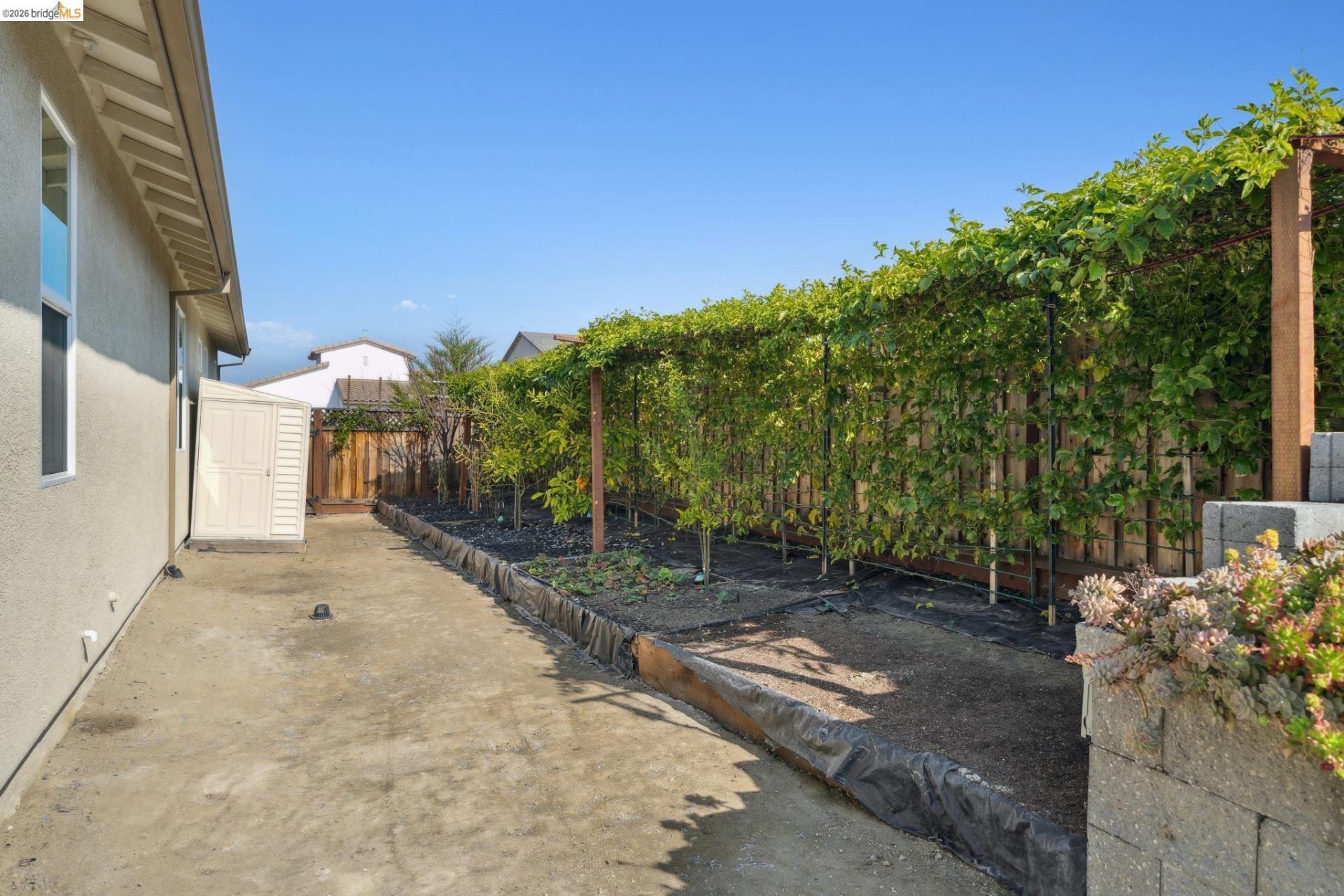 Property photo 41