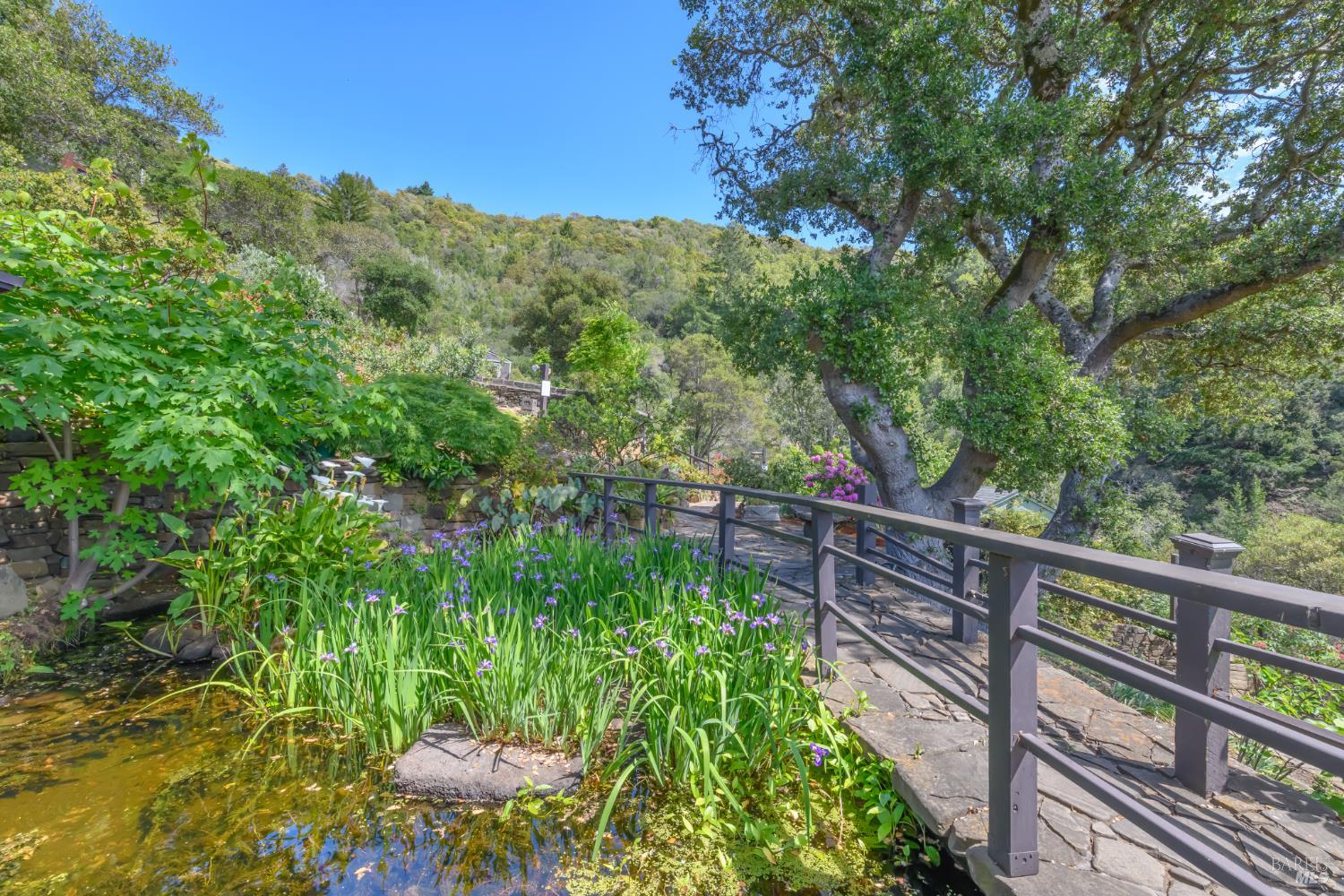 Property photo 48
