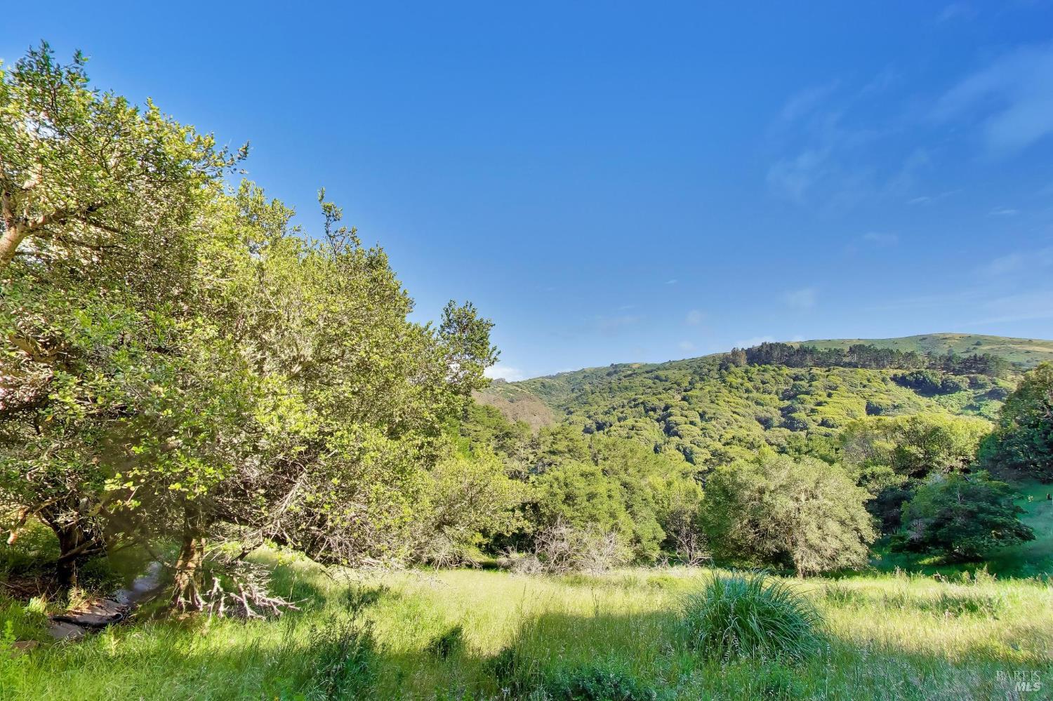 Property photo 51