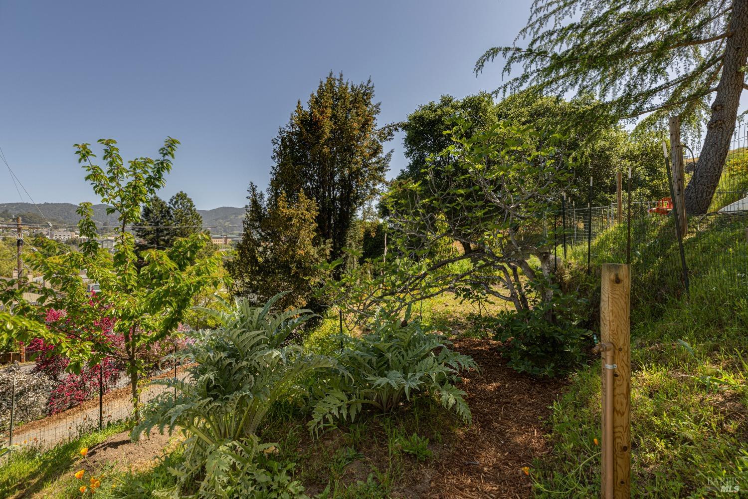 Property photo 37
