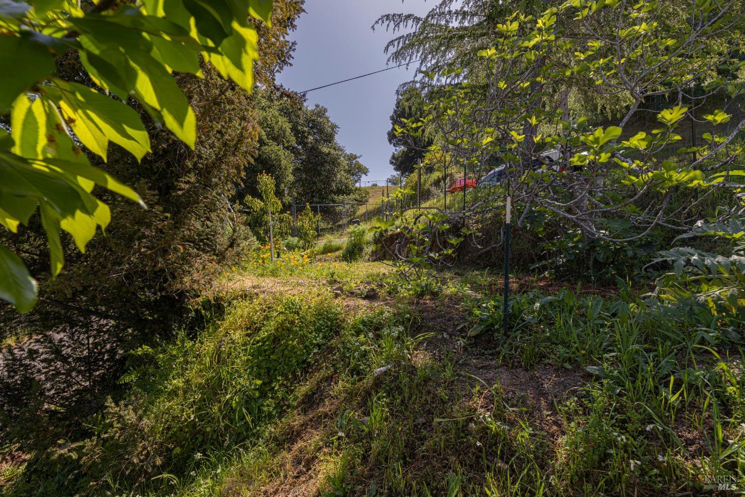 Property photo 38