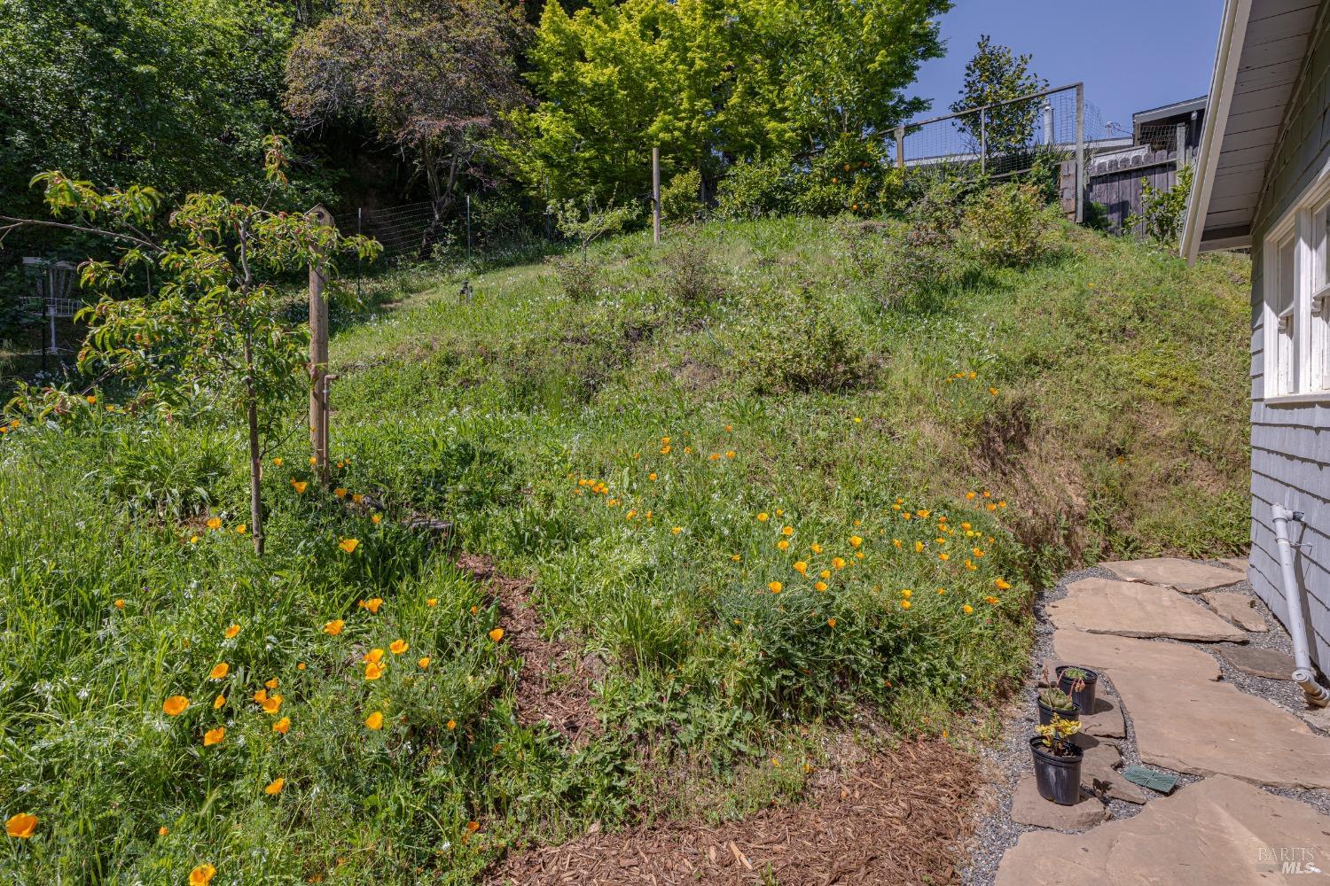 Property photo 41