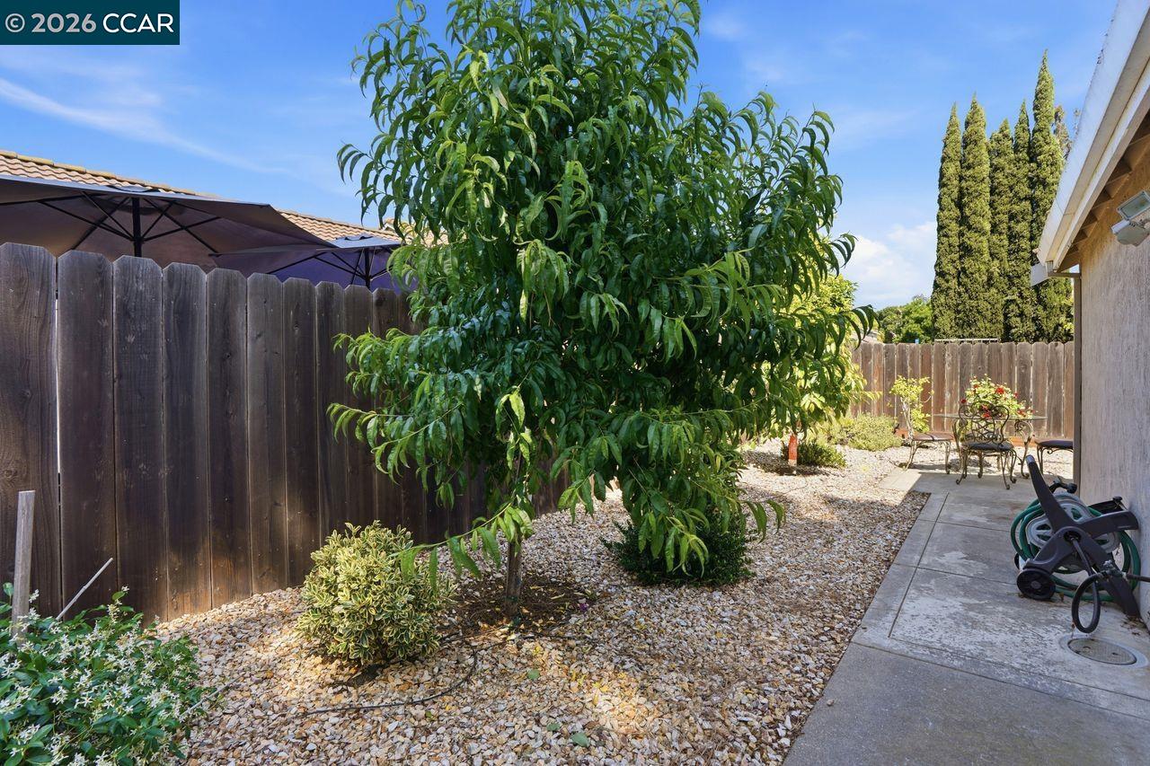 Property photo 44