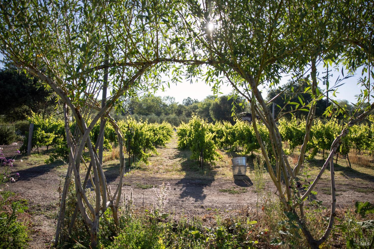 Property photo 18