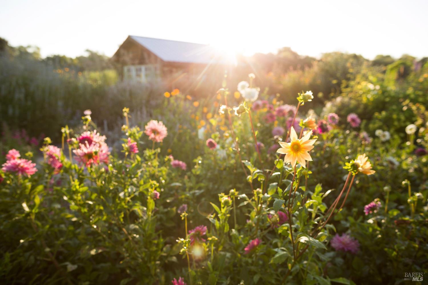 Property photo 20