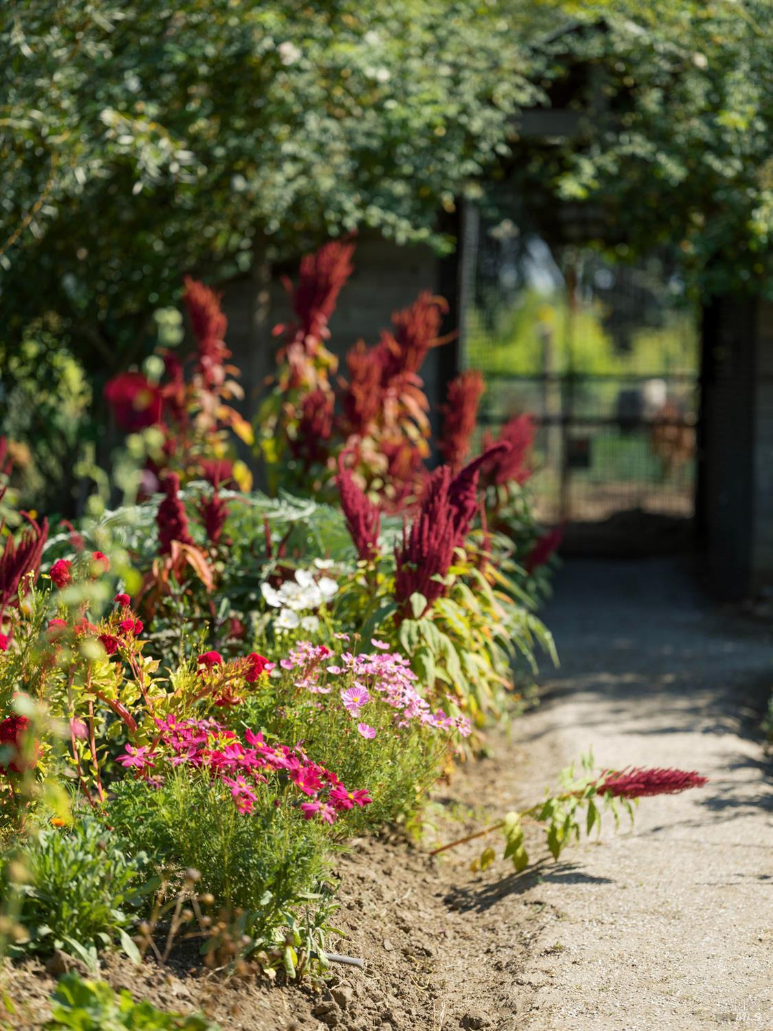 Property photo 28