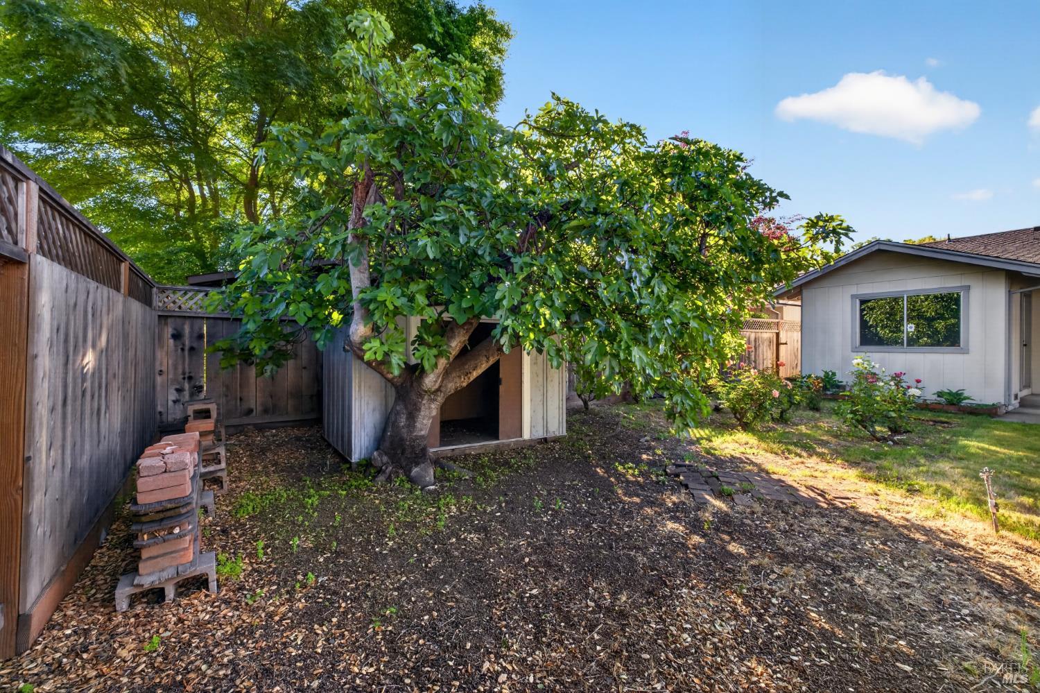 Property photo 38