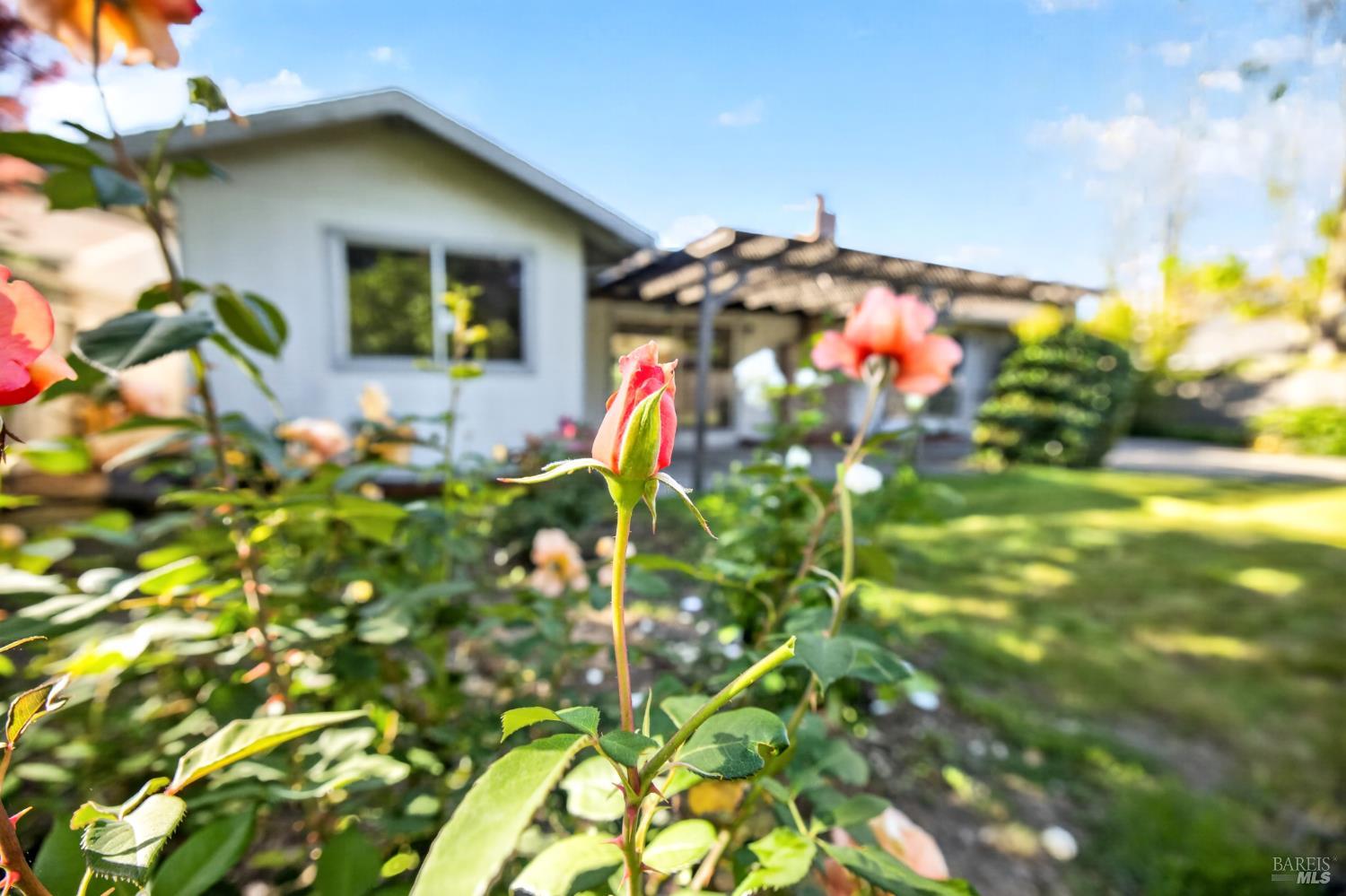 Property photo 39
