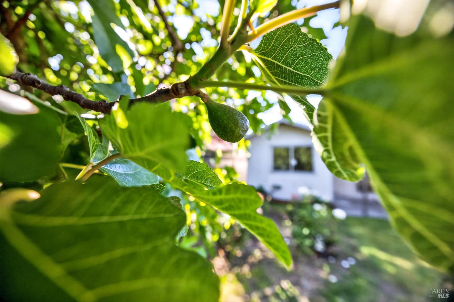 Property photo 40
