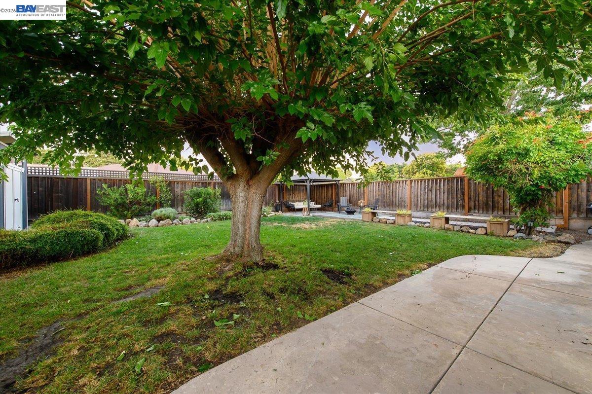 Property photo 44