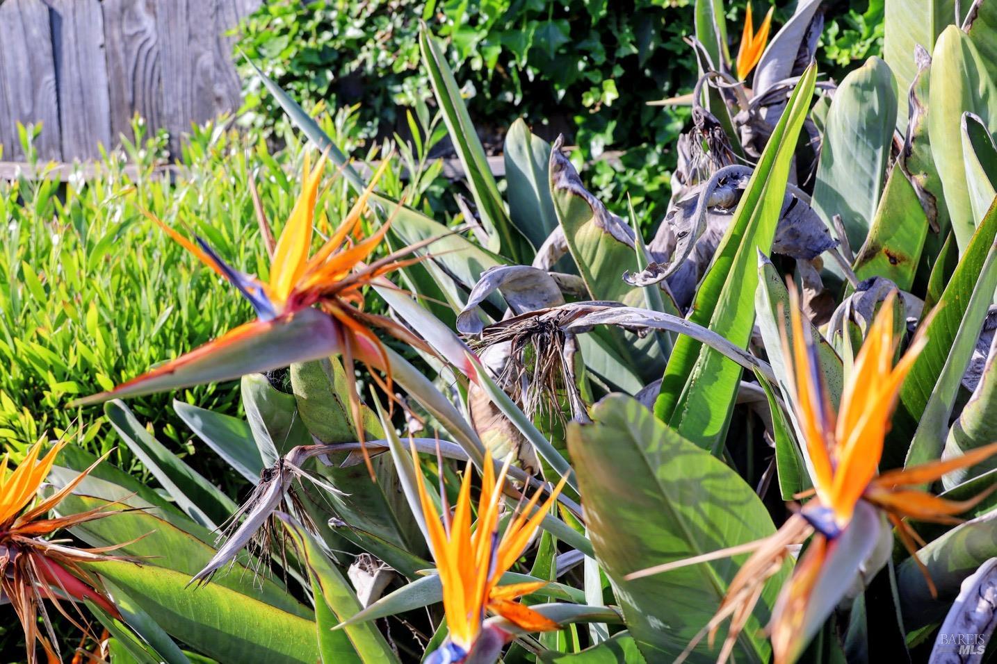 Property photo 45