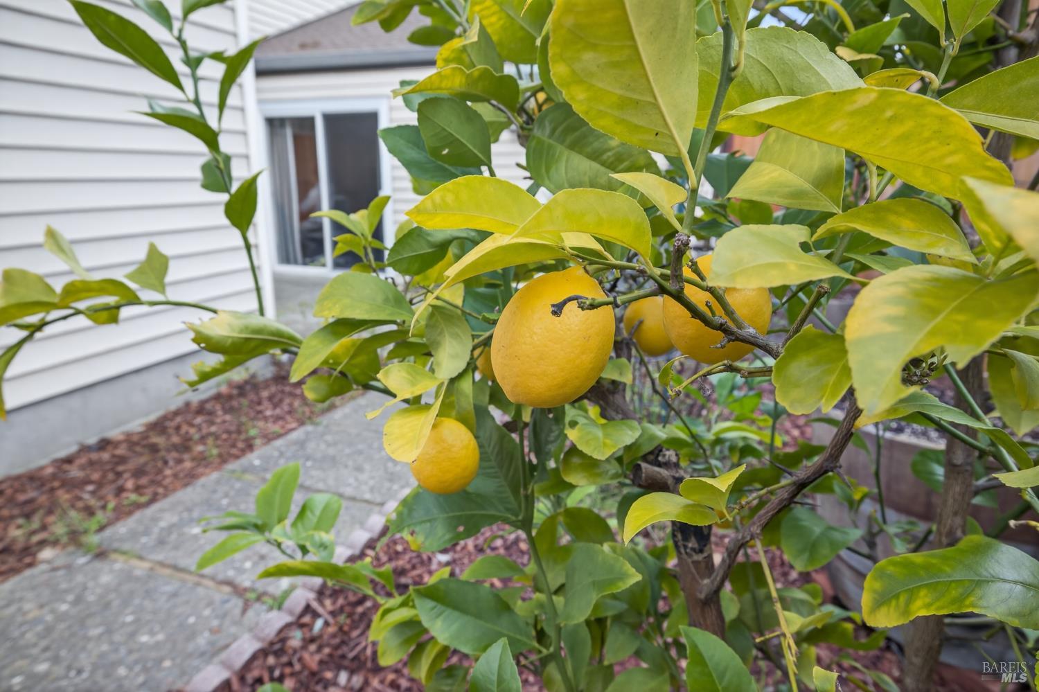 Property photo 23
