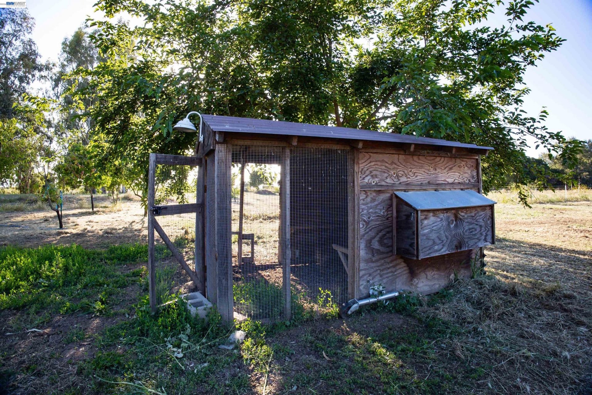 Property photo 37