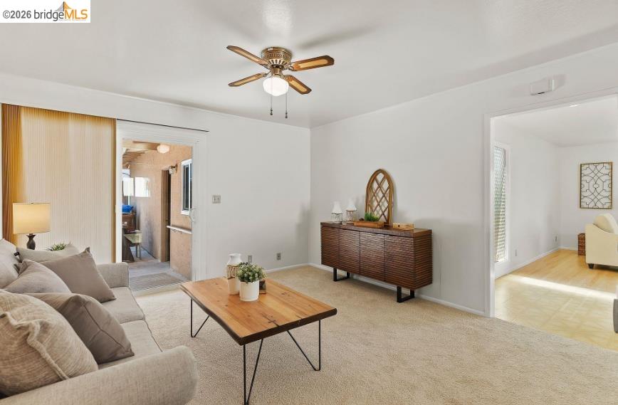 Property photo 43