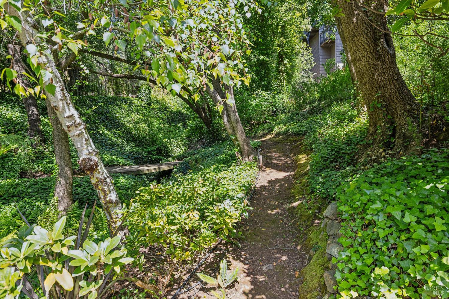 Property photo 40