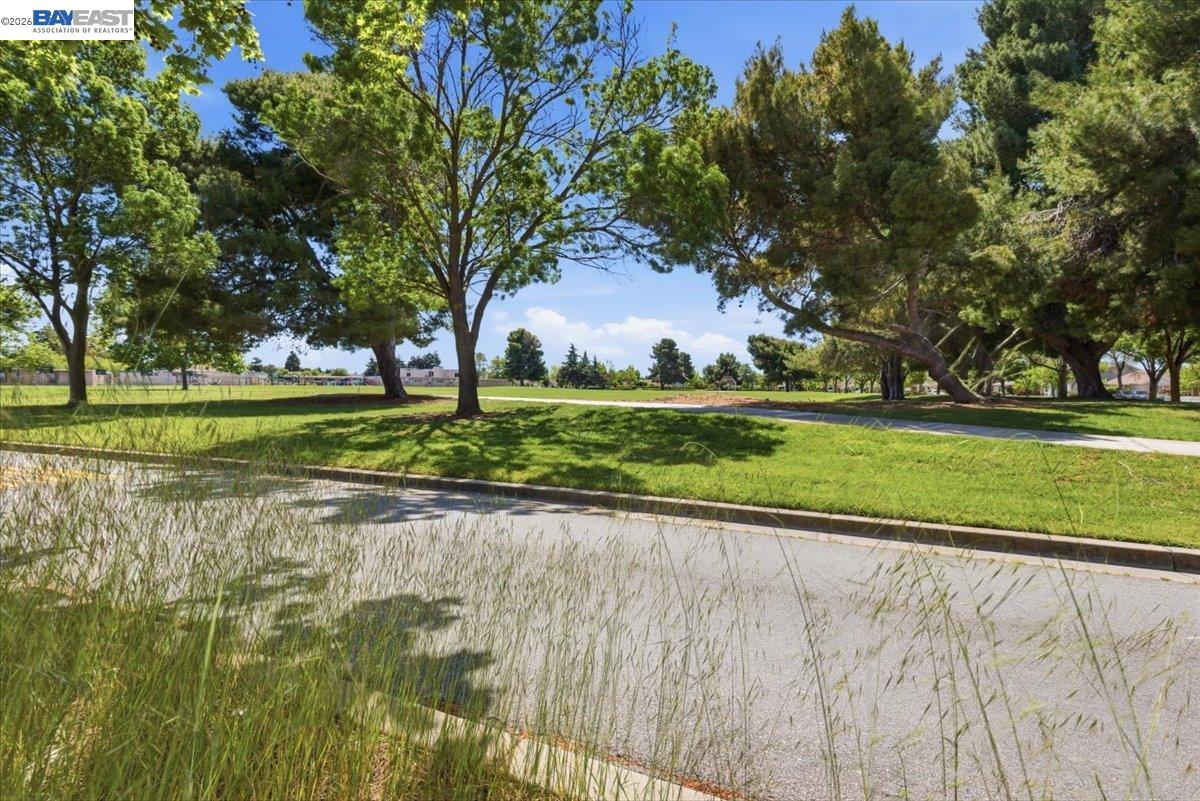 Property photo 45