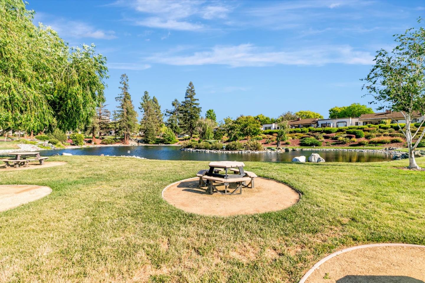 Property photo 49