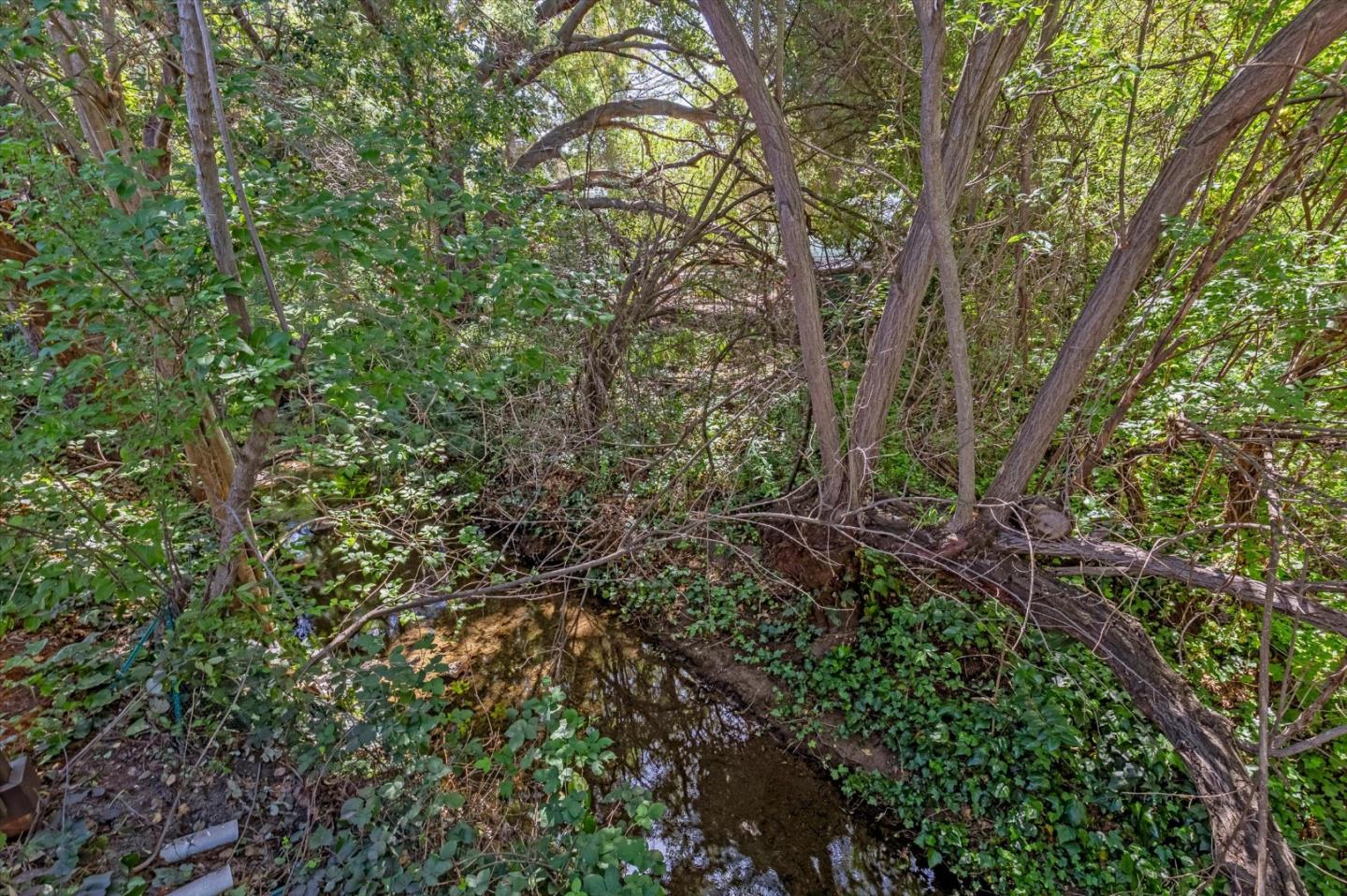 Property photo 44