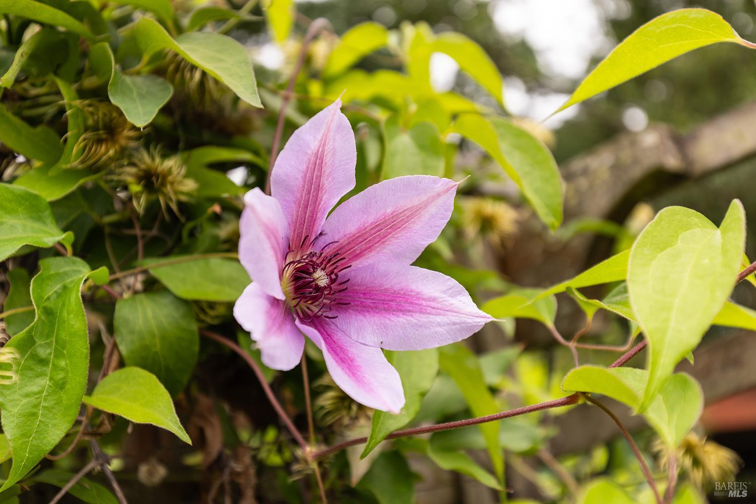 Property photo 45