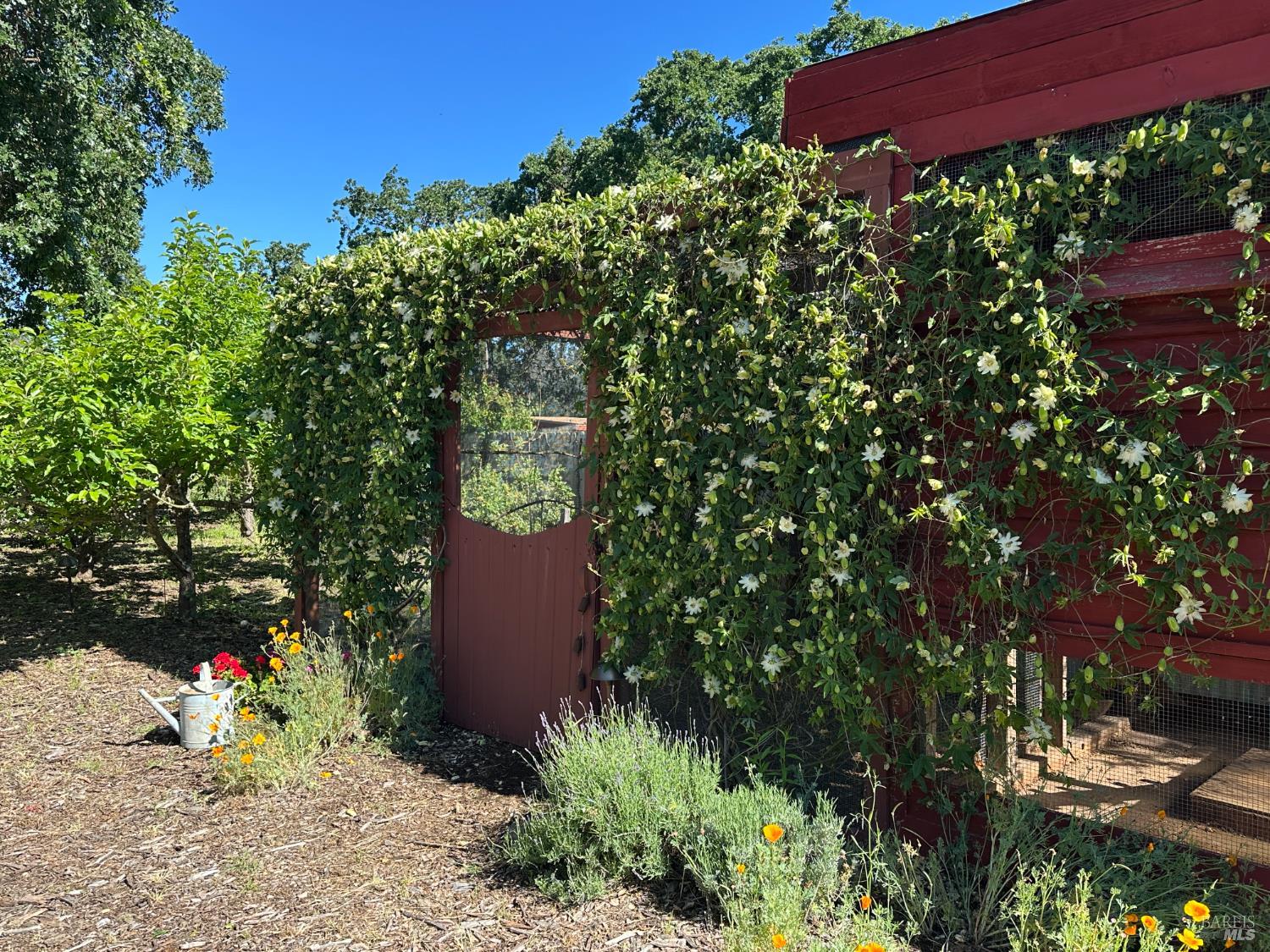 Property photo 28
