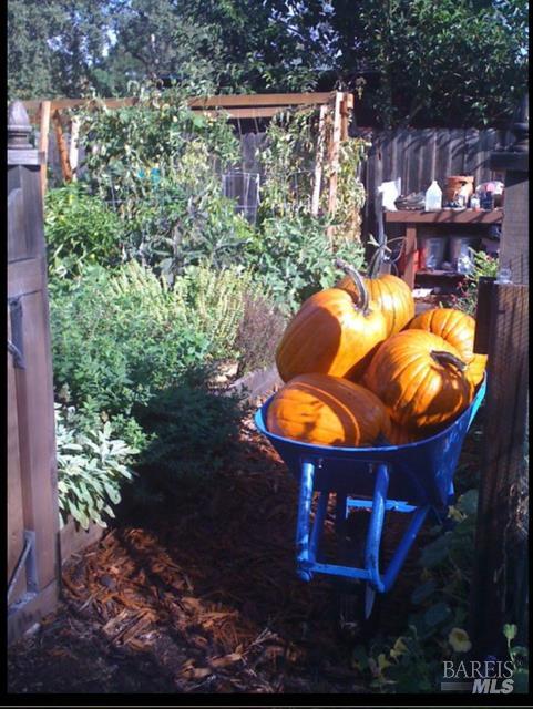 Property photo 45