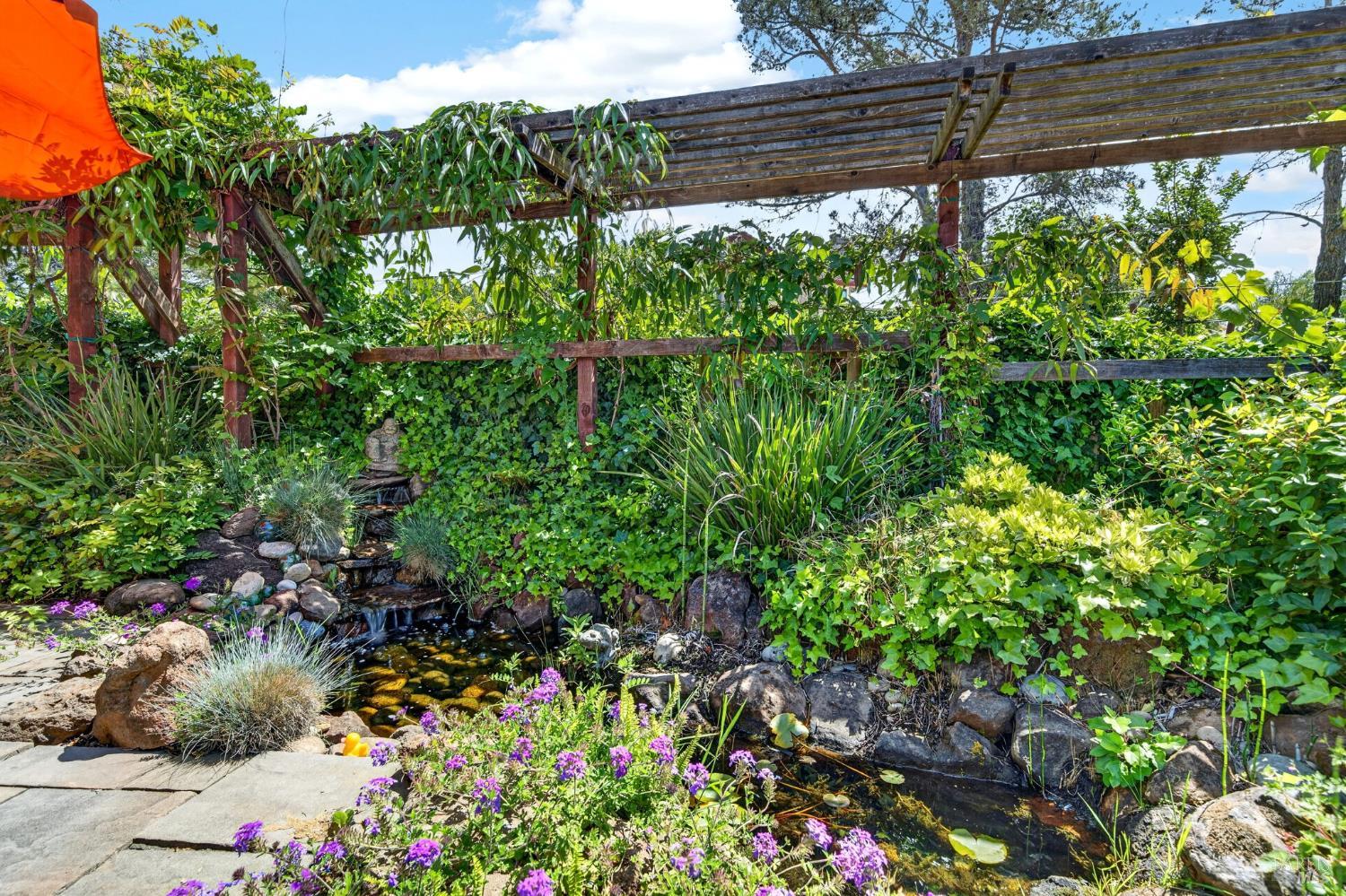 Property photo 44