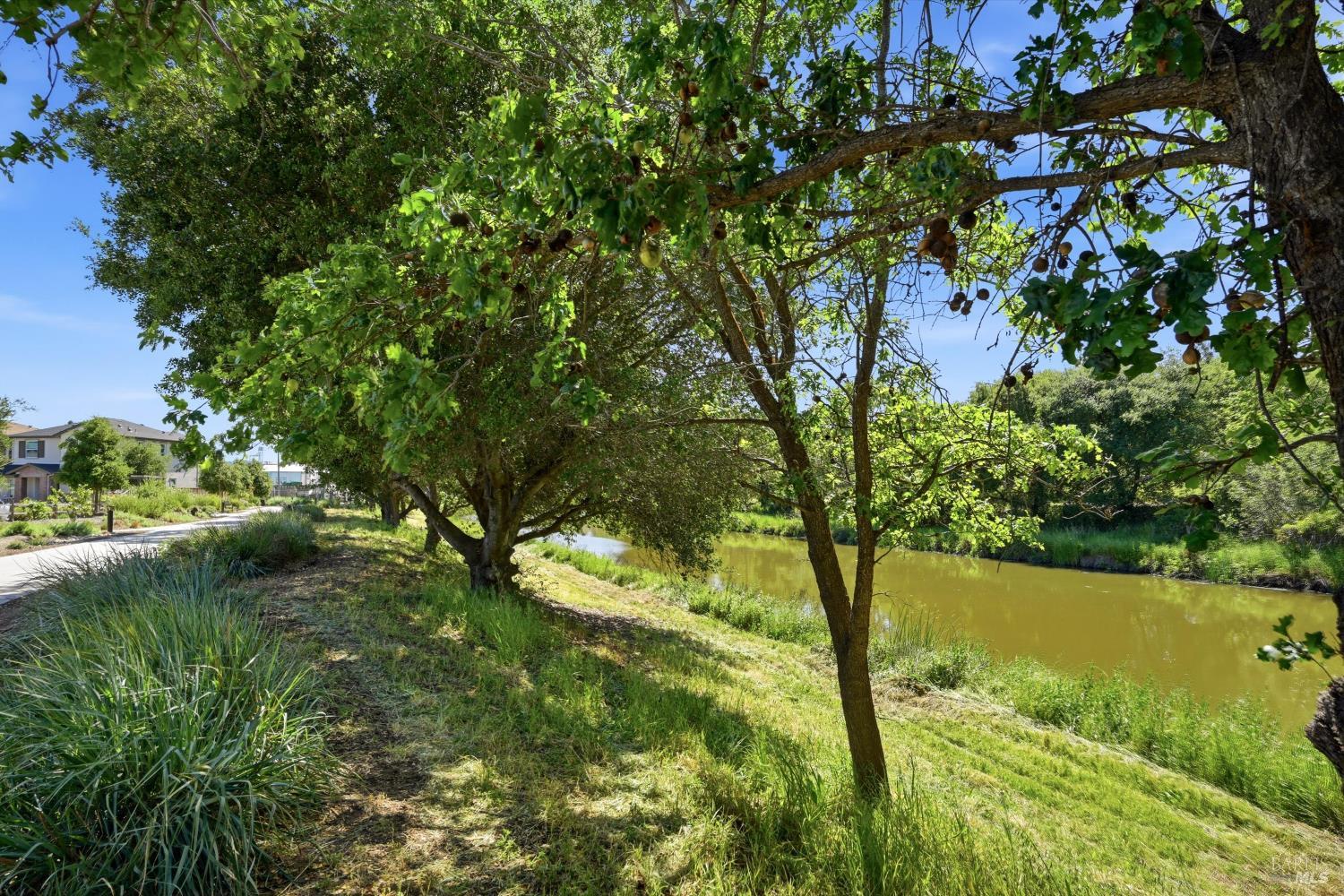 Property photo 43