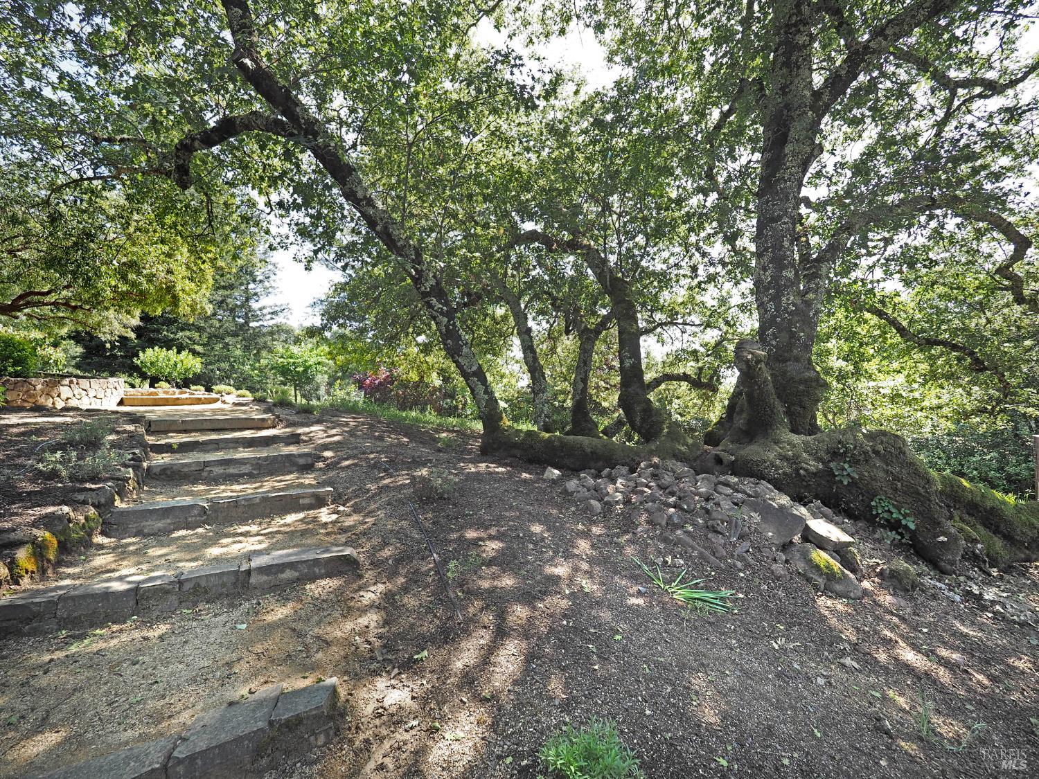 Property photo 48