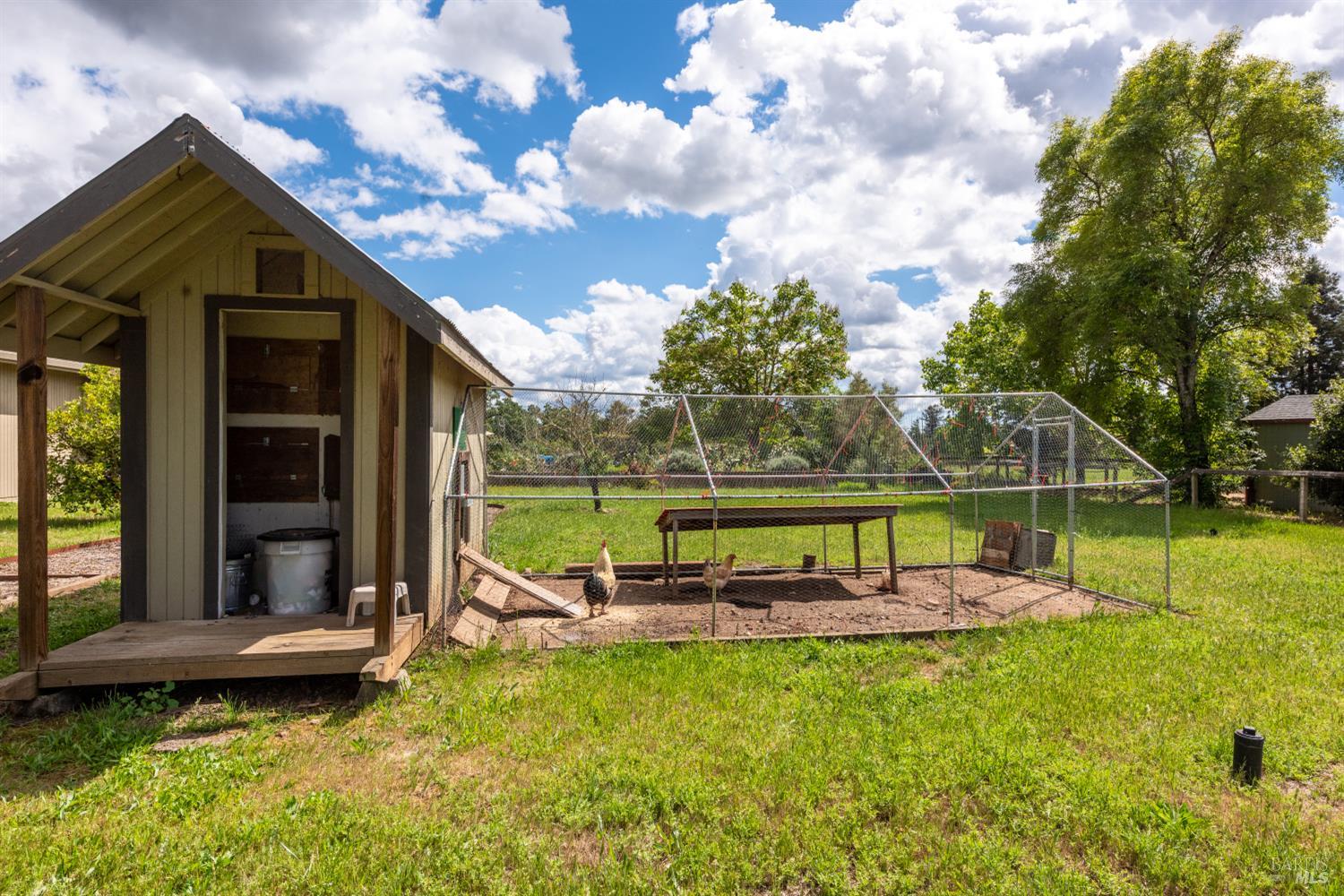 Property photo 51