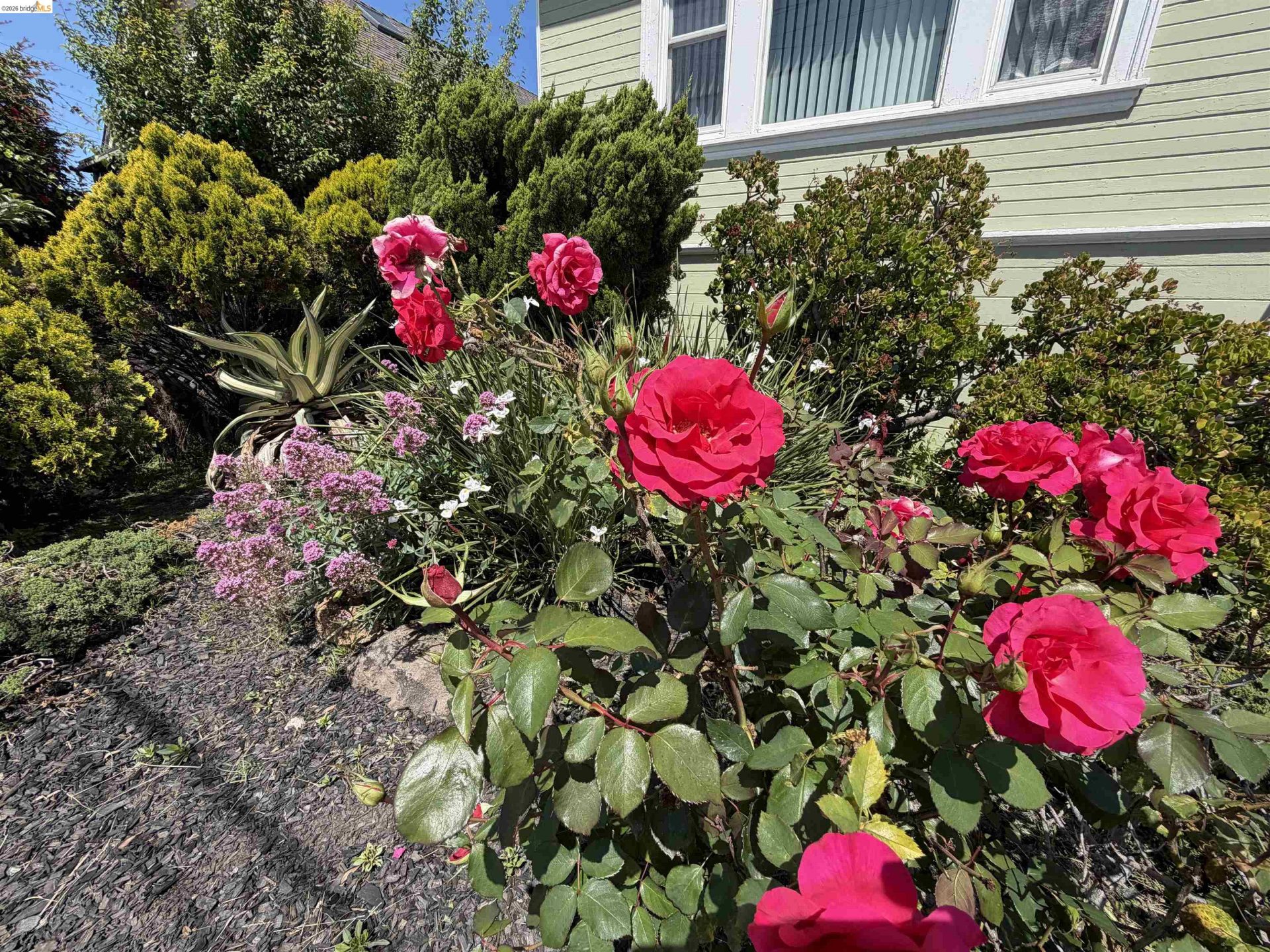 Property photo 38