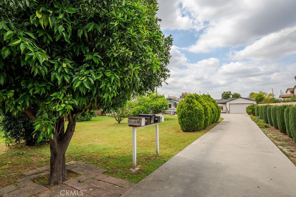 Property photo 49