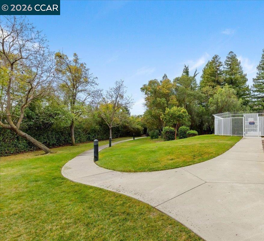 Property photo 48