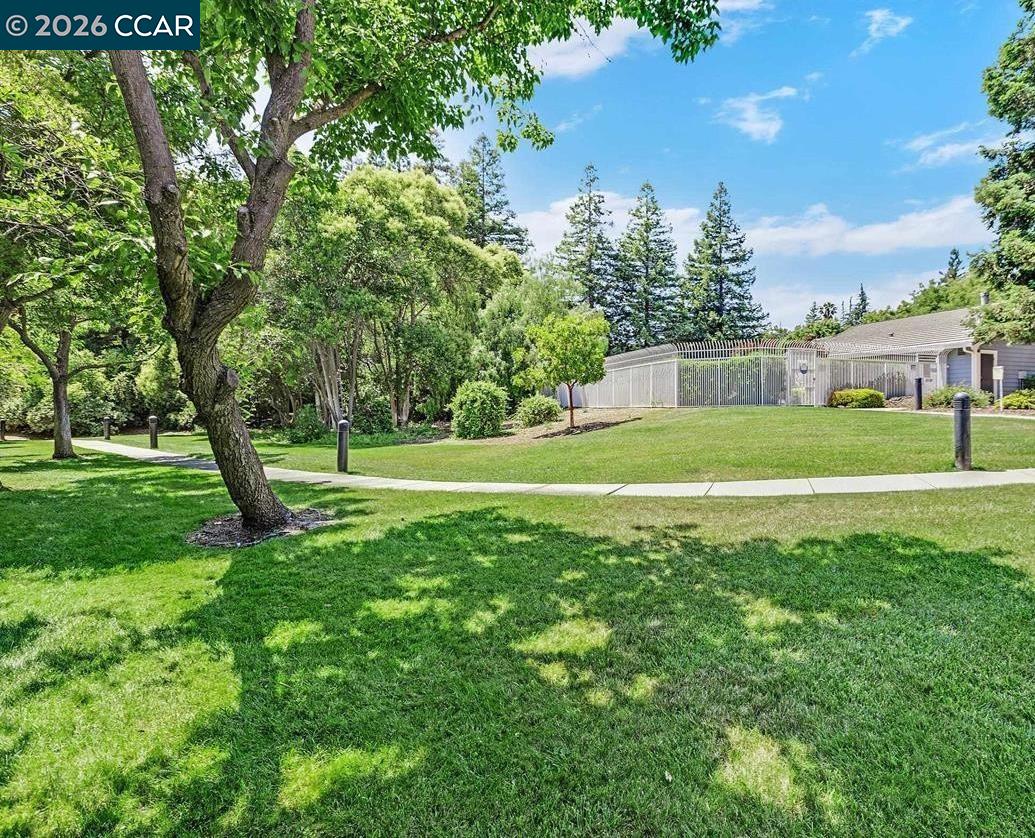 Property photo 49