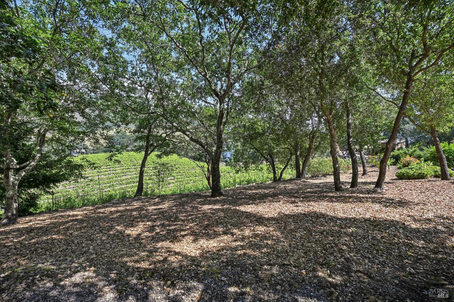 Property photo 25