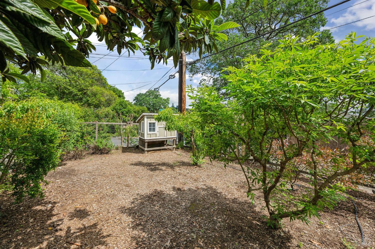 Property photo 31
