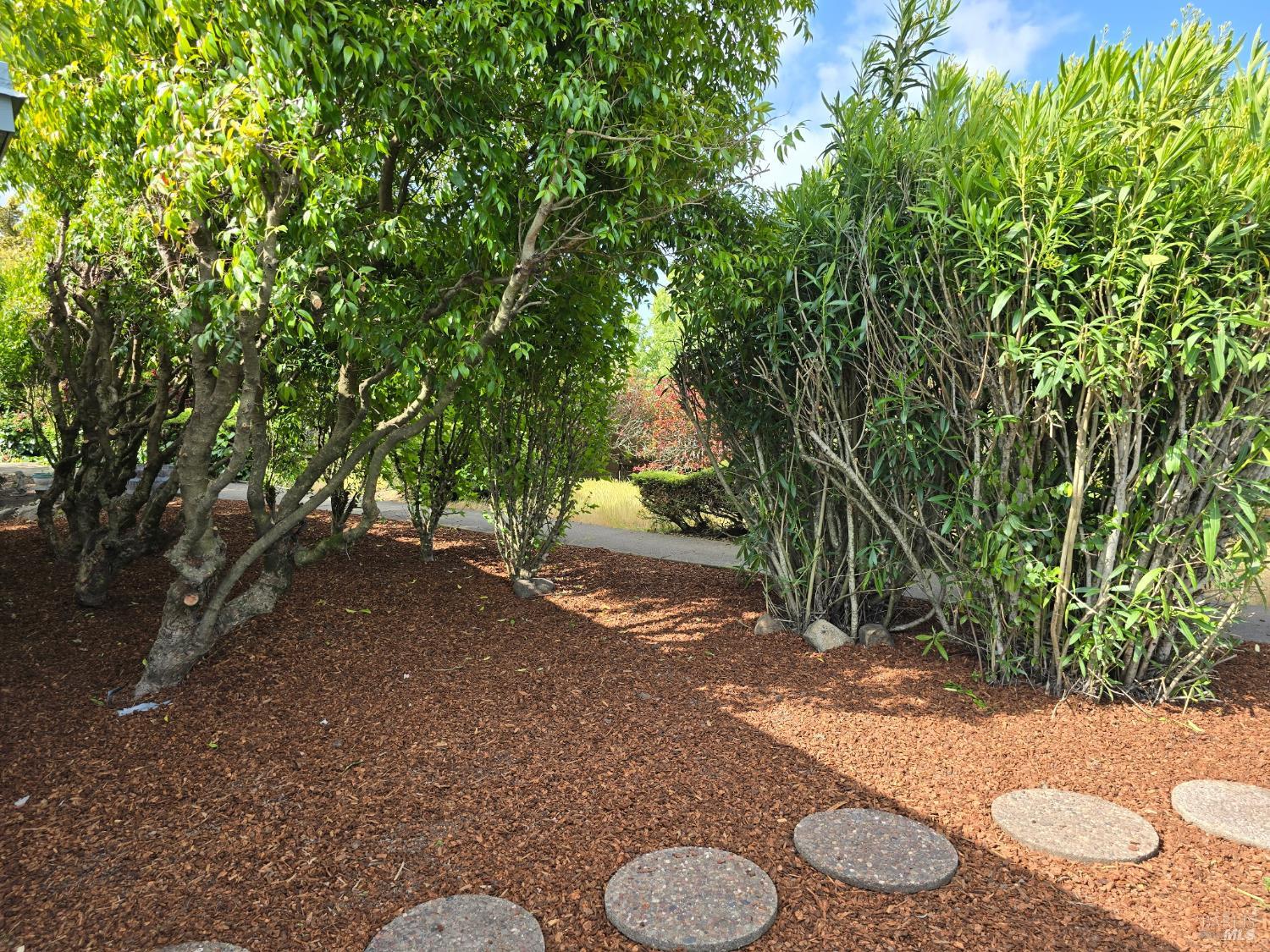 Property photo 24