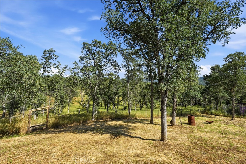 Property photo 24