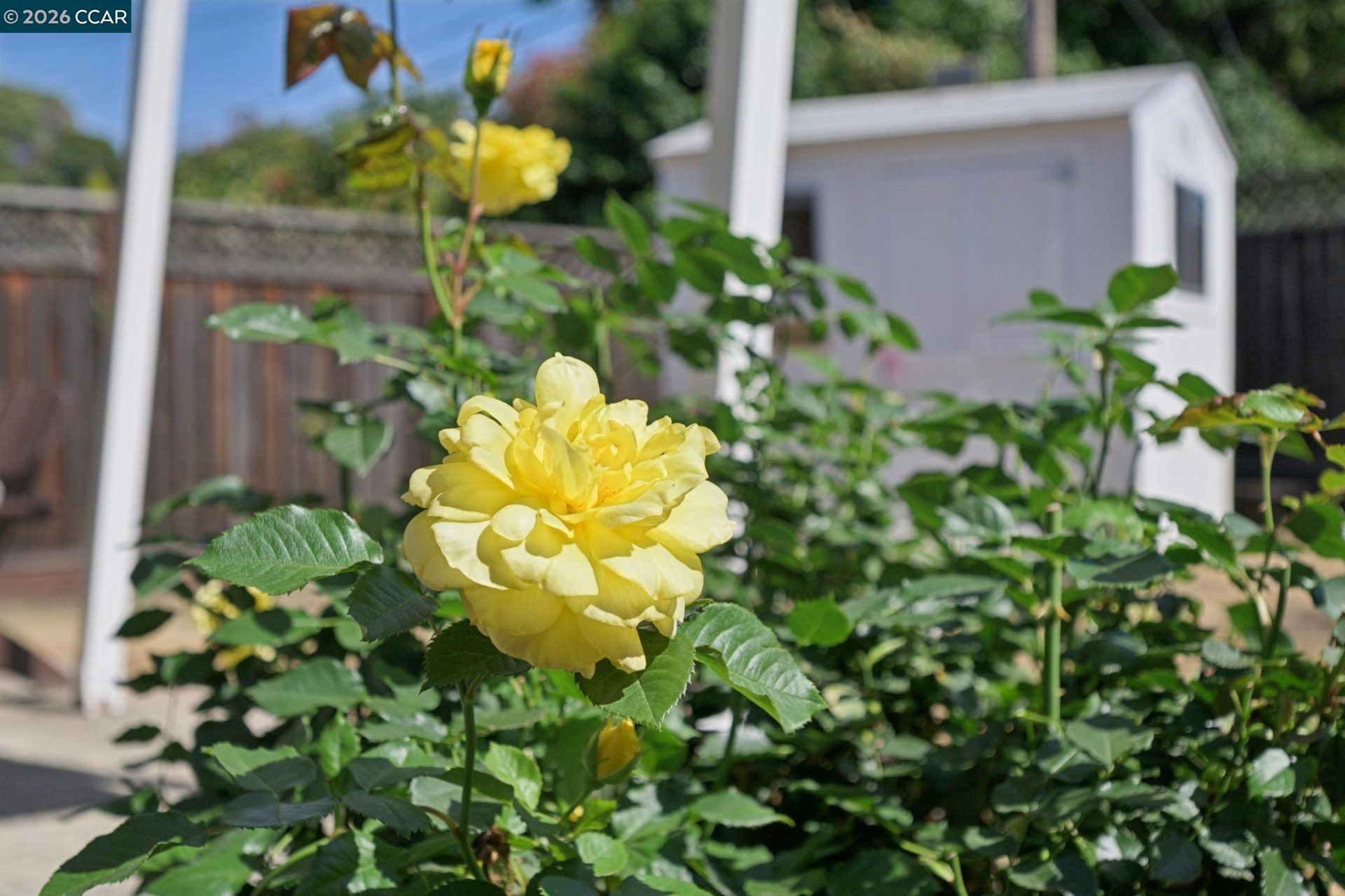 Property photo 39