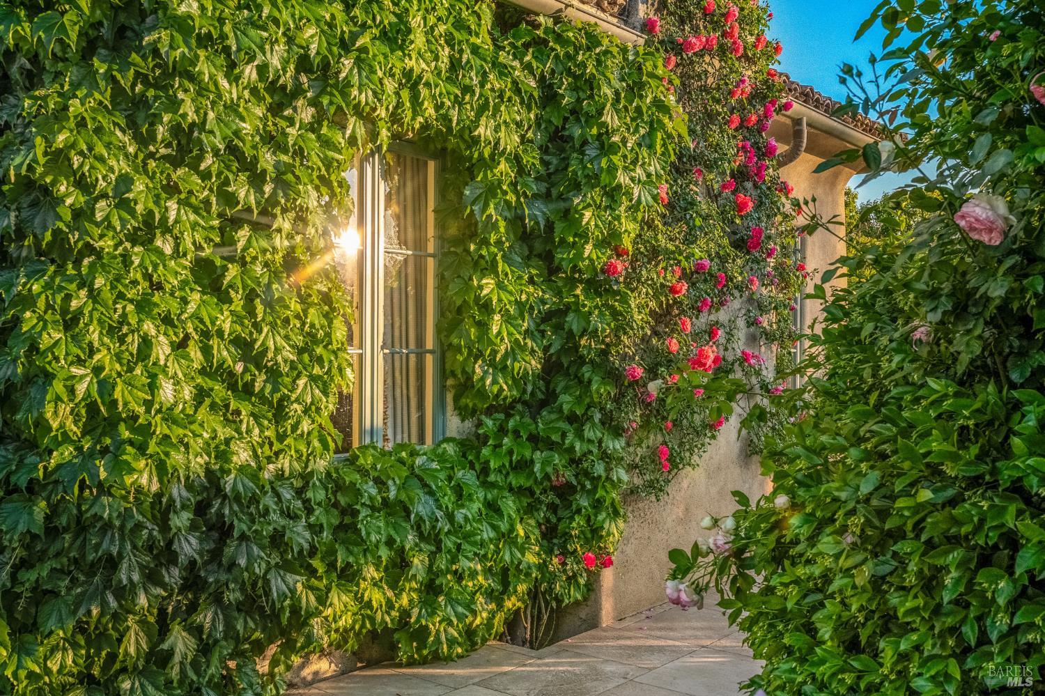 Property photo 28