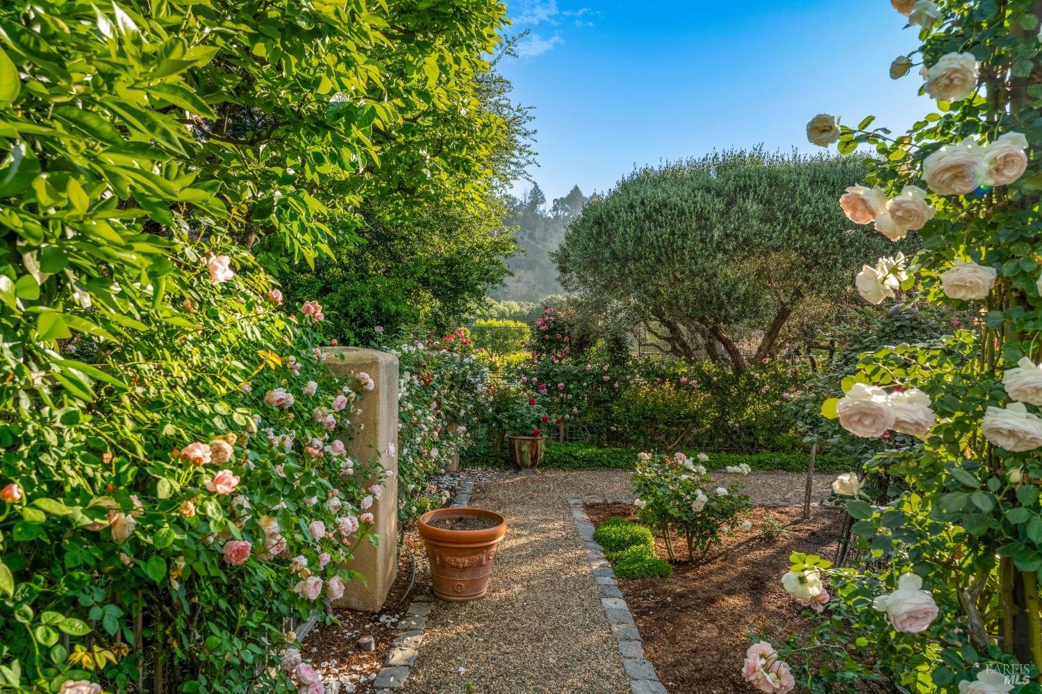 Property photo 51